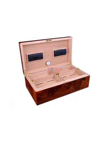 Хьюмидор Gentili Natura Morta на 200 сигар (инкрустация)