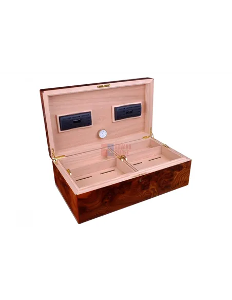 Хьюмидор Gentili Natura Morta на 200 сигар (инкрустация)