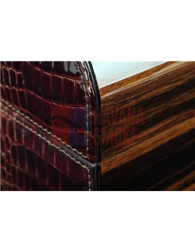 Хьюмидор Gentili SV75-Deluxe