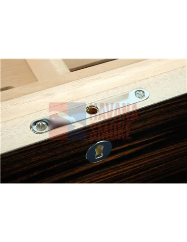 Хьюмидор Gentili SV75-Croco-Light