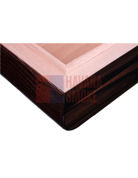 Хьюмидор Gentili SV40-LE-Iguana-Brown