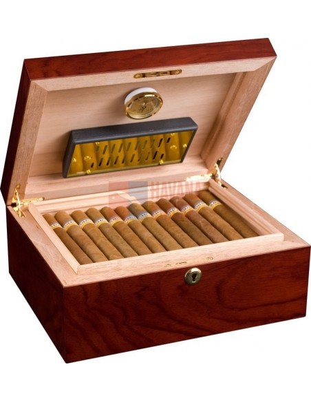 Аdorini Triest Deluxe - купить в интернет-магазине Havana Smoke