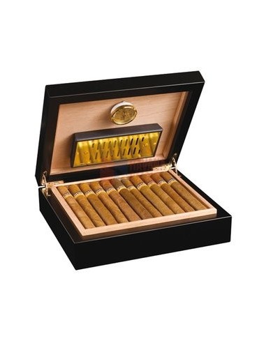 Adorini Torini Cedro - купить в интернет-магазине Havana Smoke