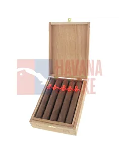 Furia Tisiphone Gran Toro