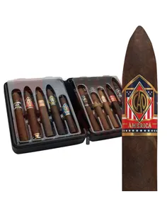 CAO Champions II Sampler (набор из 10 сигар в дорожном хьюмидоре)