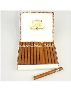 VEGAS ROBAINA DON ALEJANDRO VINTAGE (коробка 25 сигар)
