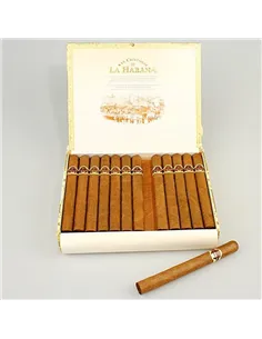 S.CRISTOBAL DE LA HABANA EL MORRO VINTAGE (коробка 25 сигар)