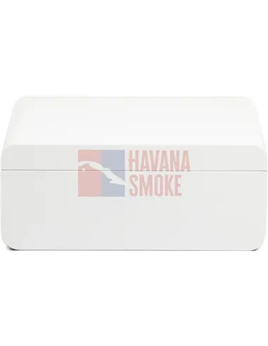 Adorini Carrara Medium - Deluxe