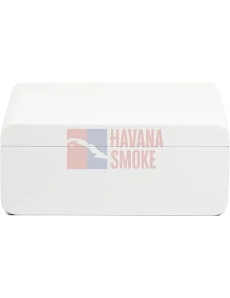 Adorini Carrara Medium - Deluxe