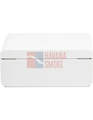 Adorini Carrara Medium - Deluxe