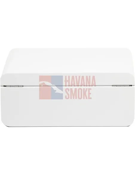 Adorini Carrara Medium - Deluxe