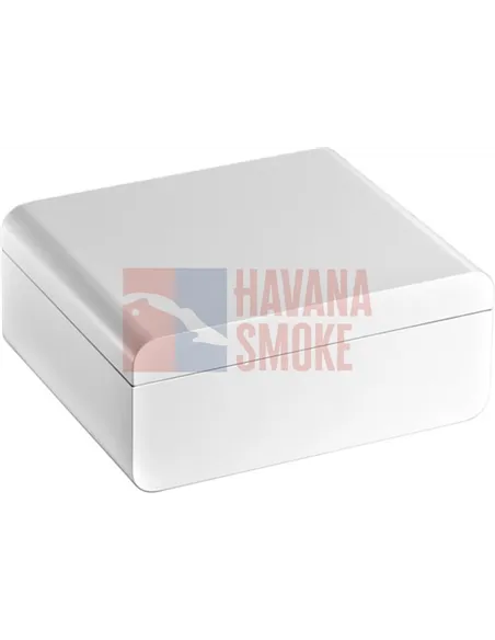 Adorini Carrara Medium - Deluxe