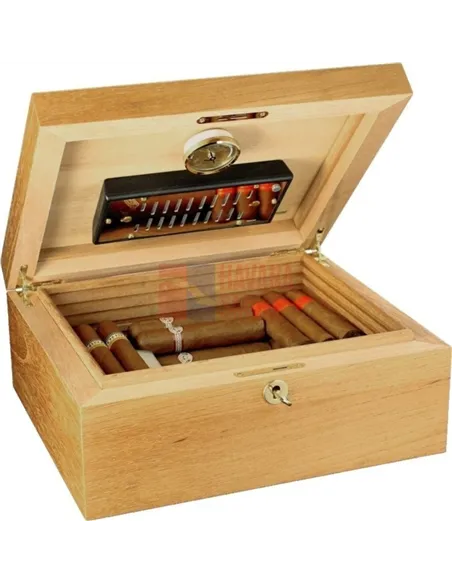 Аdorini Cedro Deluxe