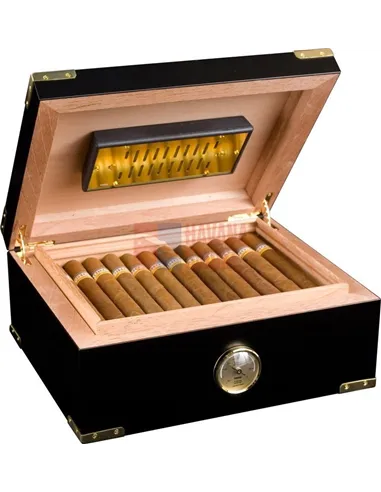 Аdorini Modena Deluxe