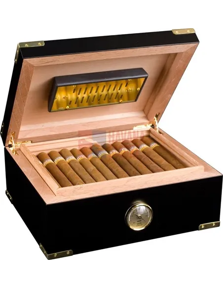 Аdorini Modena Deluxe