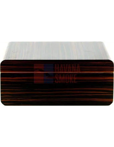 Аdorini Novara Deluxe