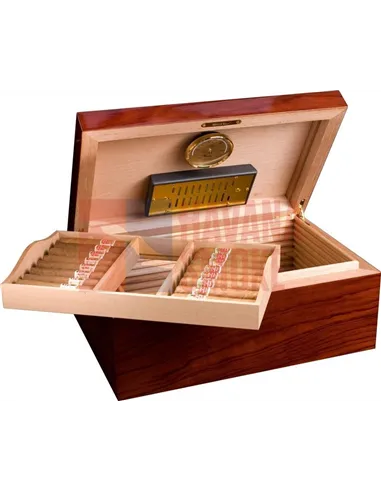 Аdorini Santiago Deluxe