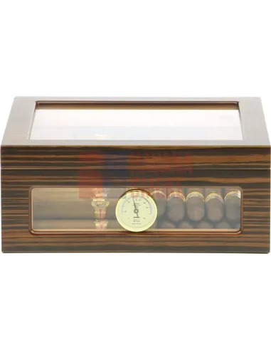 Аdorini Treviso Deluxe