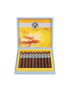 AVO Regional South LE 2020