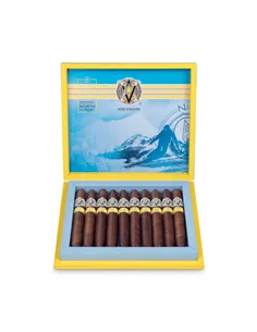 AVO Regional North LE 2020