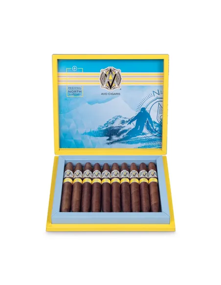 AVO Regional North LE 2020