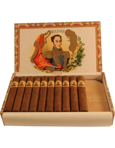 BOLIVAR CORONAS JUNIOR