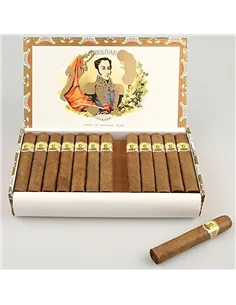BOLIVAR ROYAL CORONAS