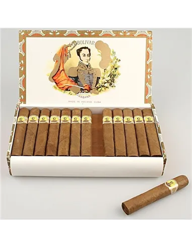 BOLIVAR ROYAL CORONAS
