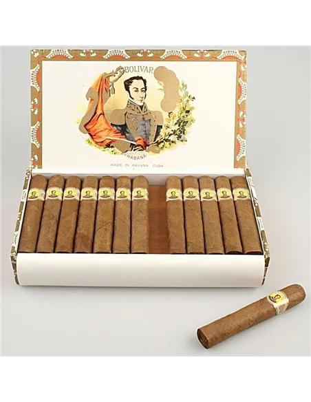 BOLIVAR ROYAL CORONAS