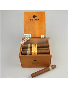 COHIBA SIGLO 6