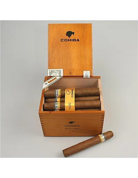 COHIBA SIGLO 6