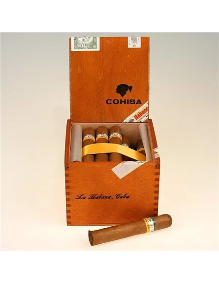 COHIBA ROBUSTOS