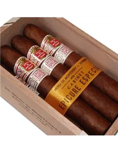 HOYO DE MONTERREY EPICURE ESPECIAL