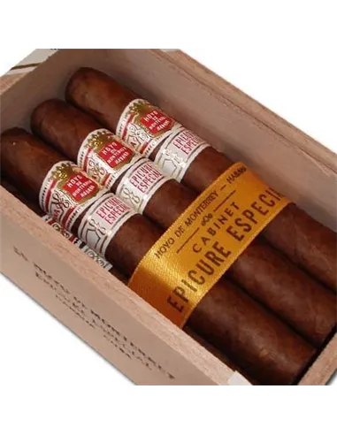 HOYO DE MONTERREY EPICURE ESPECIAL