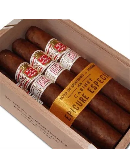 HOYO DE MONTERREY EPICURE ESPECIAL