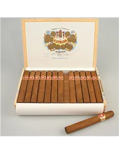 H.UPMANN PETIT CORONAS