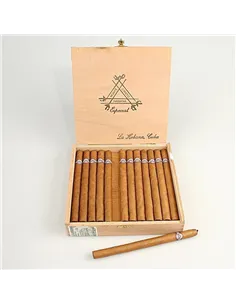 MONTECRISTO ESPECIAL