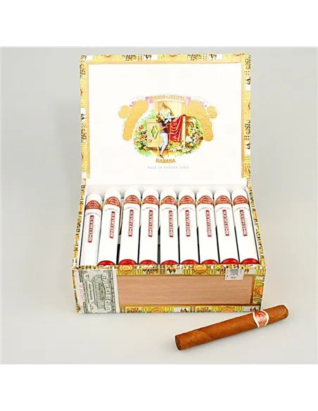 ROMEO Y JULIETA №2