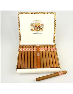 PUNCH DOUBLE CORONAS