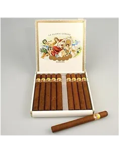 LA GLORIA CUBANA TAINOS