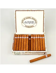 RAFAEL GONZALES PANETELAS EXTRA