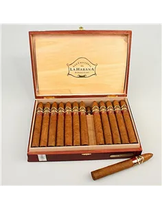 S.CRISTOBAL DE LA HABANA MURALLA