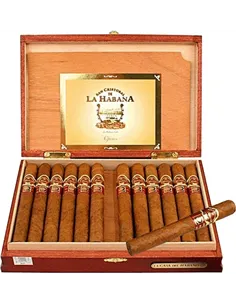 S.CRISTOBAL DE LA HABANA OFICIOS