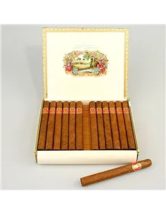 SAINT LUIS REY CHURCHILLS