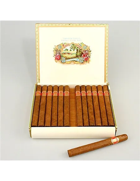 SAINT LUIS REY CHURCHILLS