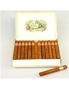 SAINT LUIS REY SERIE A