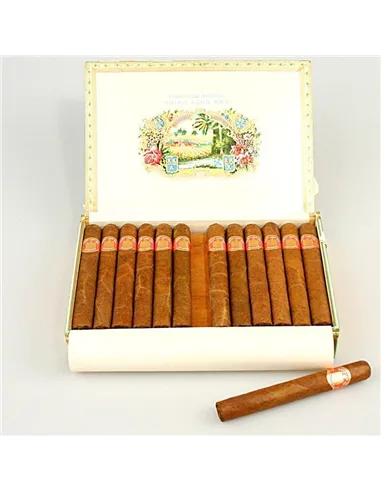 SAINT LUIS REY SERIE A