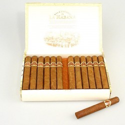 Купить S.CRISTOBAL DE LA HABANA LA FUERZA VINTAGE (коробка 25 сигар)