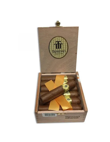 Trinidad Vigia