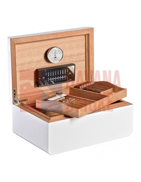 Adorini Carrara Grande - Deluxe - купить в интернет-магазине Havana Smoke